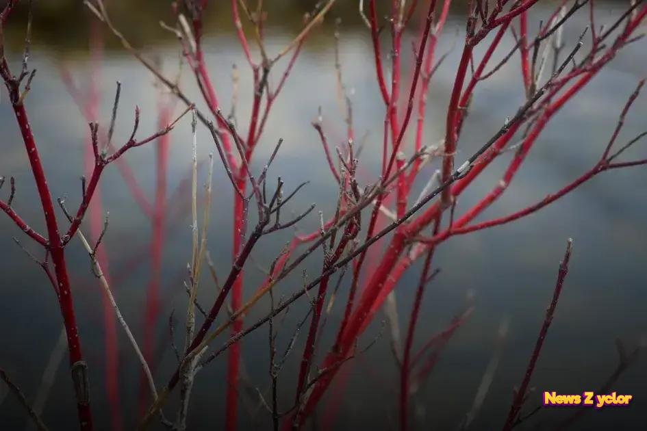 Impact on Global Markets