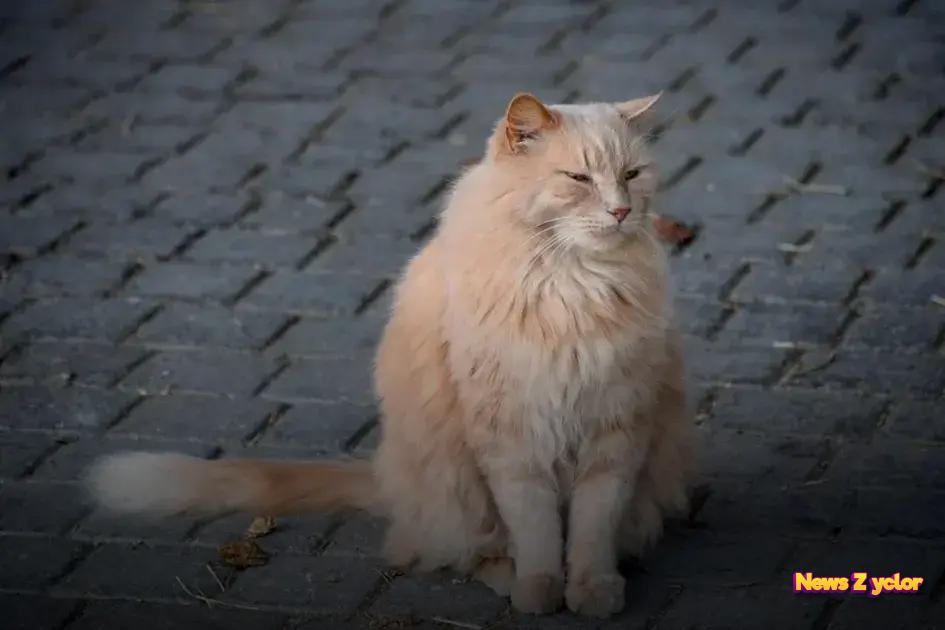 Practical Steps to Achieve Success Practical Steps to Achieve Success