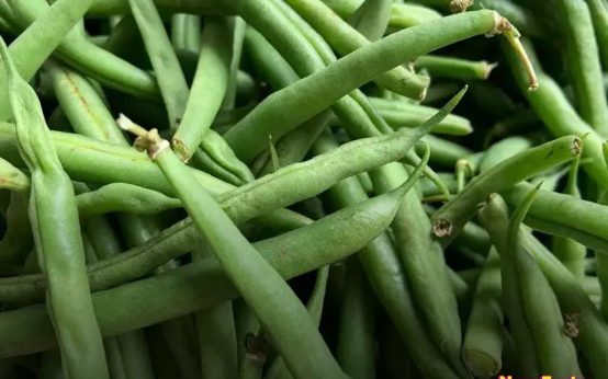 Success Mindset: How to Be Successful and Happy in Life