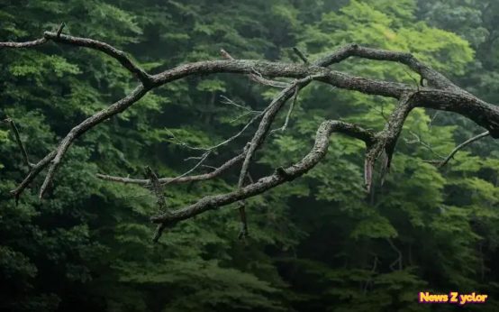 Best Low-Risk Investments for This Year: Discover Secure Options