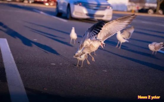 ChatGPT Voice Assistant: Transform Your Routine with Technology