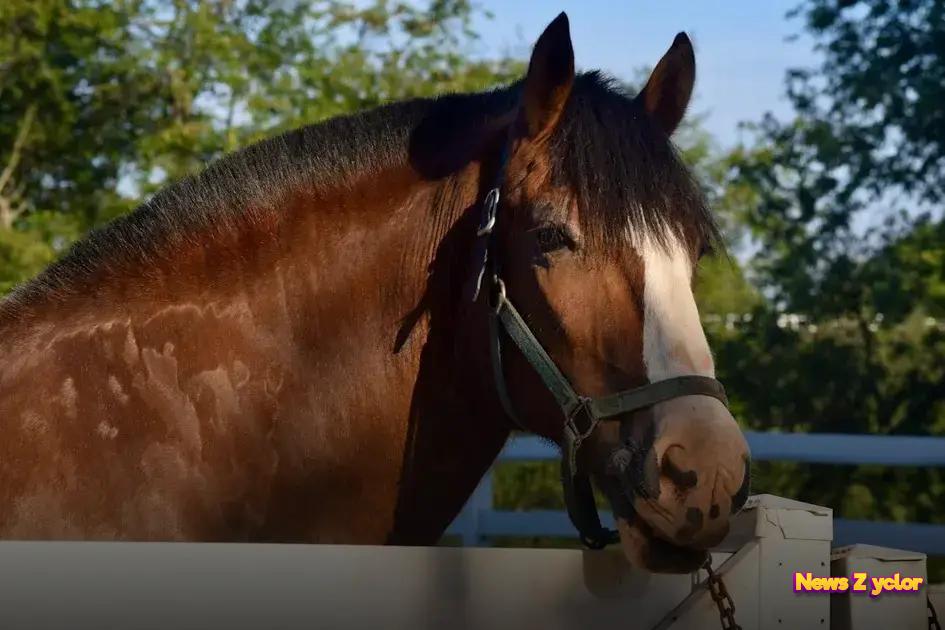 Lifestyle Changes: Balancing Work and Retirement Goals