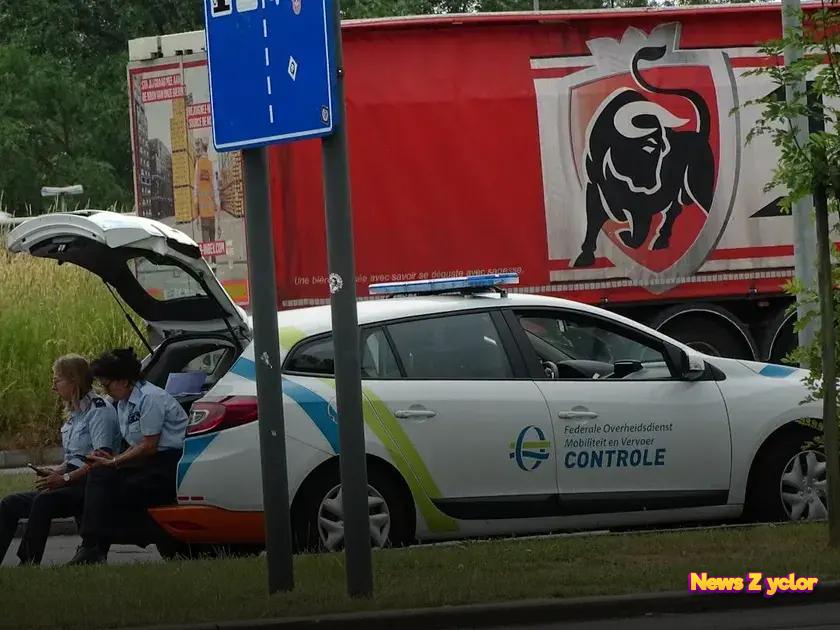 Seek Constructive Feedback