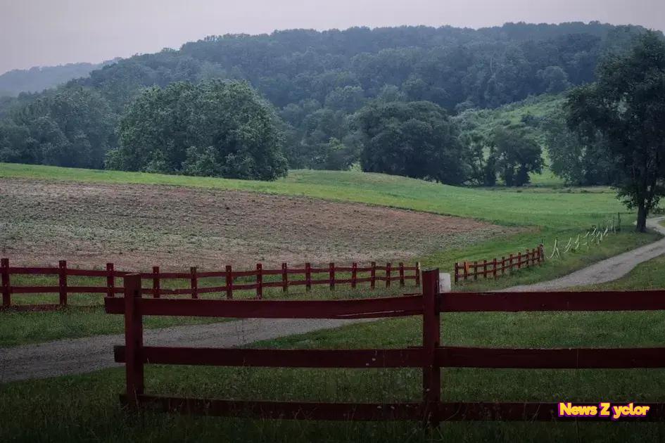 Top Low-Risk Investment Options