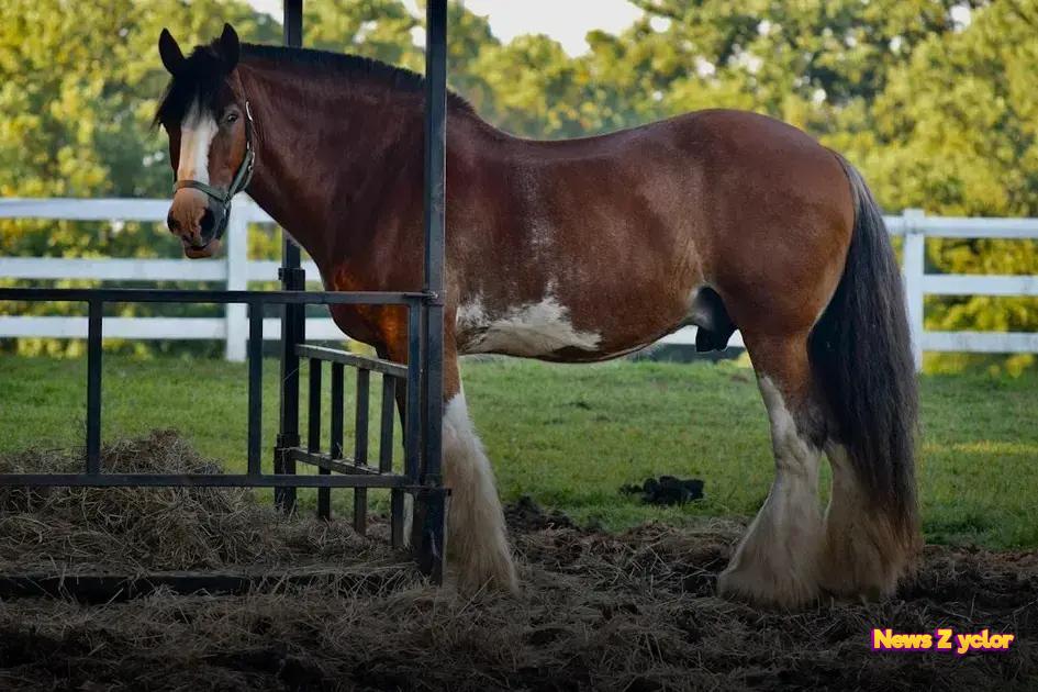 Troubleshooting Common Issues