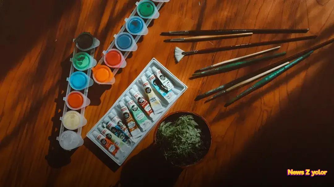 User Reviews and Recommendations