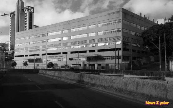 Women Entrepreneurs: Discover How They Shape the Future